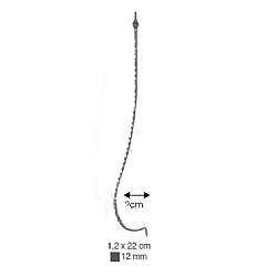C 1003
