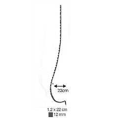 C 1004